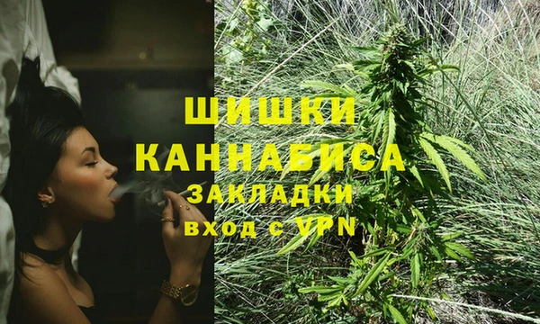 трава Горнозаводск