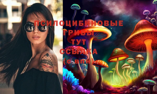 ГАЛЛЮЦИНОГЕННЫЕ ГРИБЫ Горняк