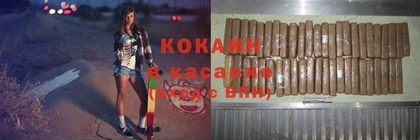 ГАЛЛЮЦИНОГЕННЫЕ ГРИБЫ Горняк