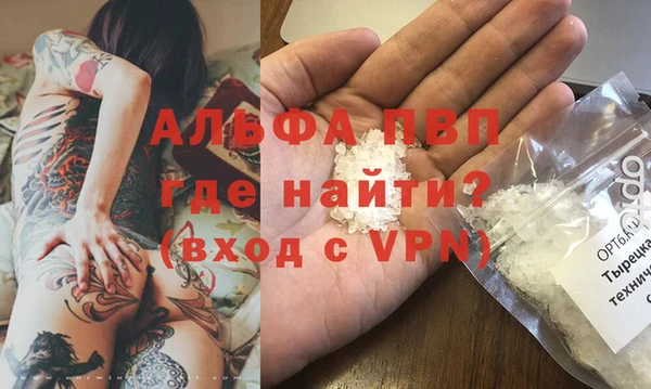 ГАЛЛЮЦИНОГЕННЫЕ ГРИБЫ Горняк