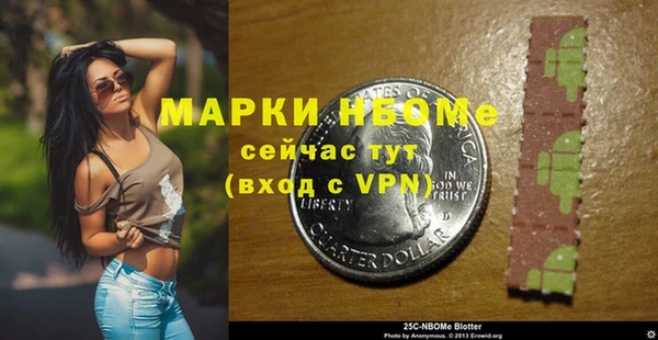 ГАЛЛЮЦИНОГЕННЫЕ ГРИБЫ Горняк