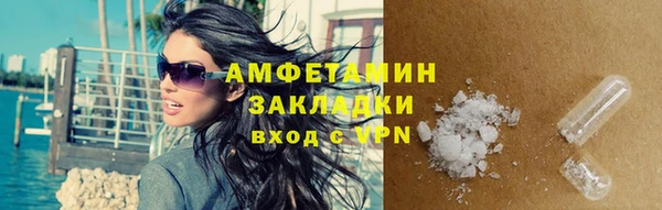 ГАЛЛЮЦИНОГЕННЫЕ ГРИБЫ Горняк