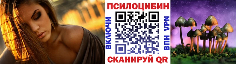 Псилоцибиновые грибы Psilocybe Меленки
